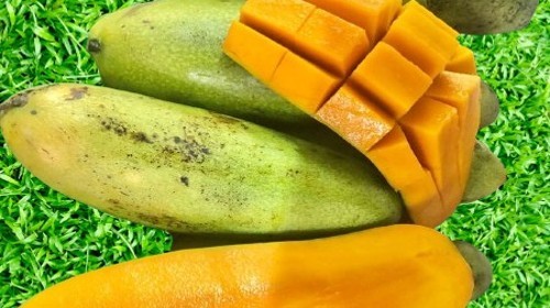 Keajaiban Antioksidan dari Mangga Golek